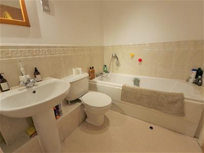 Picture 13